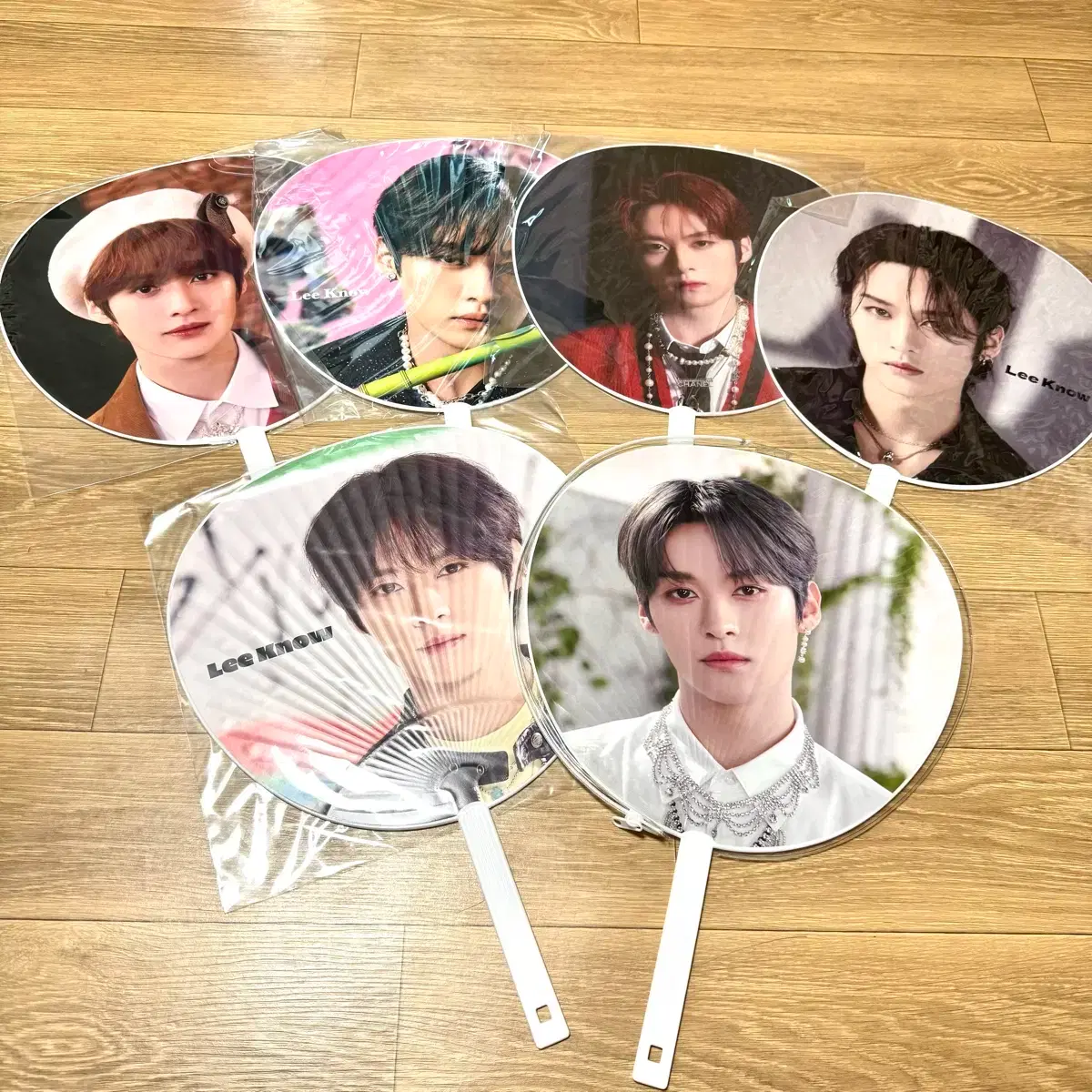Stray Kids Lee Know concert/fanmeeting fan set