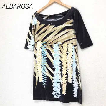 ALBAROSA 알바 로자 벨로아 튜닉 원피스