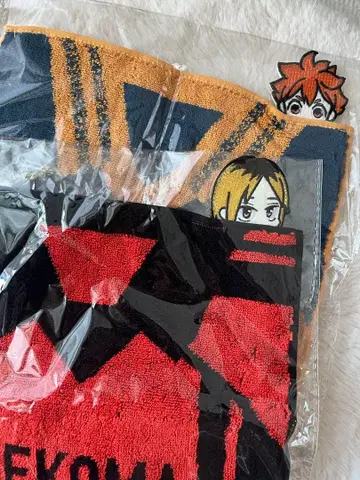 하이큐 전 쓰레기장의 결전