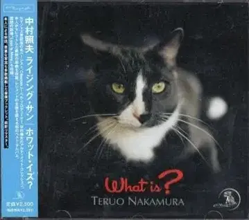 나카무라 테루오 라이징 선/왓 이즈?