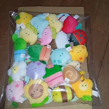 동그란 눈의 꽃집 쁘띠 마스코트 BC 20종 풀 컴프