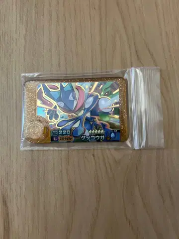 포켓몬 프렌다 레거시 피크 게코가