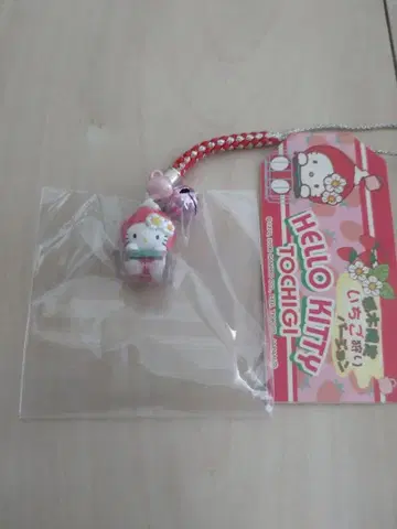 지역 한정 키티 딸기 따기 버전