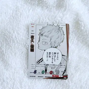 바보카 하이큐 54장 묶음 판매