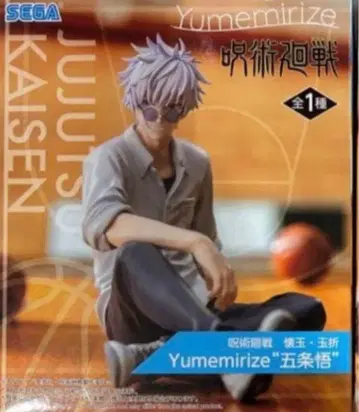 주술회전 회옥 옥절 Yumemirize 고죠 사토루