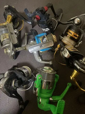 낚시릴 8개 일괄