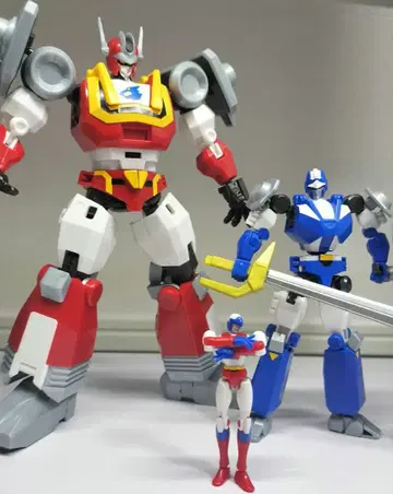 [ 10/30 한정 가격 인하 ] SMP 바이칸푸