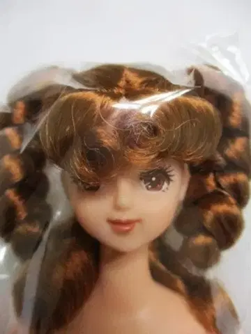 새상품 스무살 제니 오타노시미 인형 20살 제니 리카짱 캐슬