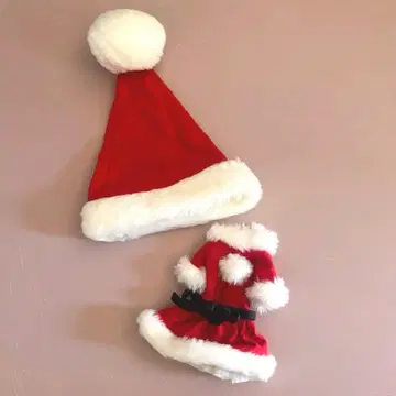 네오 브라이스 산타 모자와 드레스 세트