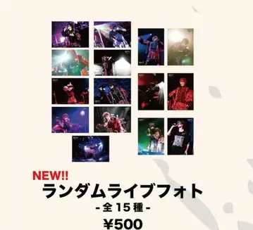 초학생 통신 한정 랜덤 라이브 사진 전 15종 컴플리트 세트