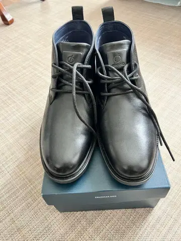 콜한 그랜드 에볼루션 차카