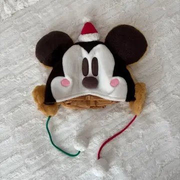 미키 마우스 팬 캡 2014