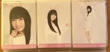 노기자카46 브로마이드 오가와 아야 2023 간지 토끼 컴프