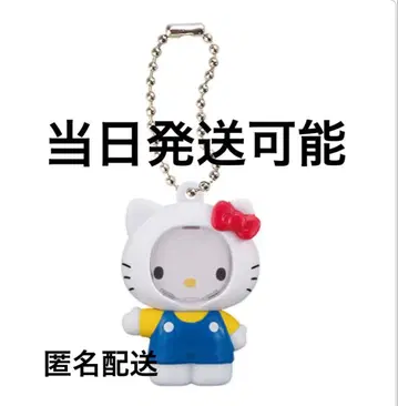 산리오 키티 사진 프레임 마스코트 키링 얼굴 끼우기 가챠