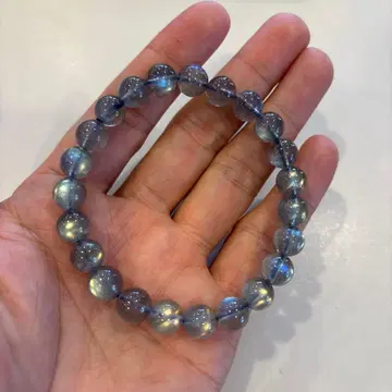 고품질! 캐나다산 래브라도 라이트! 정말 예뻐요! 반짝반짝!