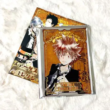 가정교사 히트맨 REBORN! 스탯 카드 사와다 츠나요시 츠나