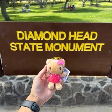 하와이 다이아몬드 헤드 한정판 일광화상 키티