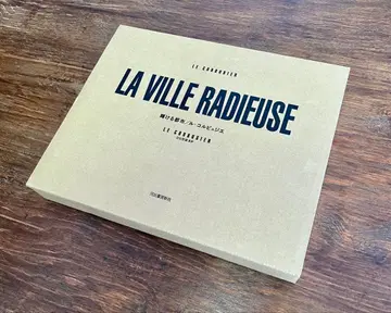 빛나는 도시 르 코르뷔지에