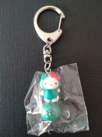지역 한정 키티 홋카이도 한정 마리모 마스코트 키링