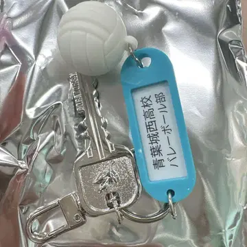 하이큐 트레이딩 고교명 포함 열쇠 참 키링 아오바죠사이 고교