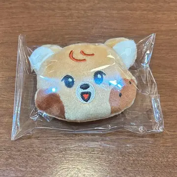 nct dream 인형 배지 해찬