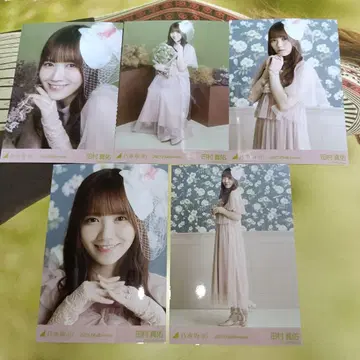 노기자카46 브로마이드 타무라 마유 할로윈 2025 5장 세트