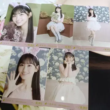 노기자카46 이치노세 미쿠 할로윈 2025 브로마이드 5장 세트