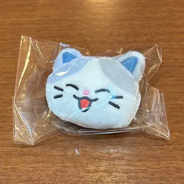 nct dream 드림즈 인형 배지 첸러