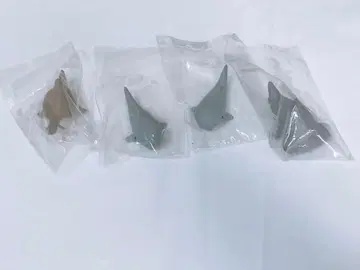 줄 서는 친구들 상어 씨 2종 상어 씨 톱상어 씨 강아지 상어 씨