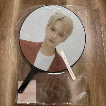 SEVENTEEN 준 부채 BE THE SUN