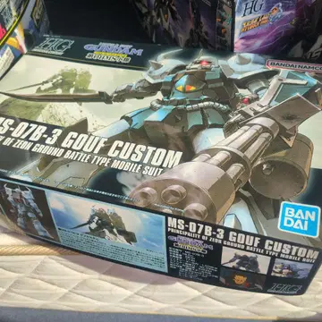 HG MS-07B-3 구프 커스텀