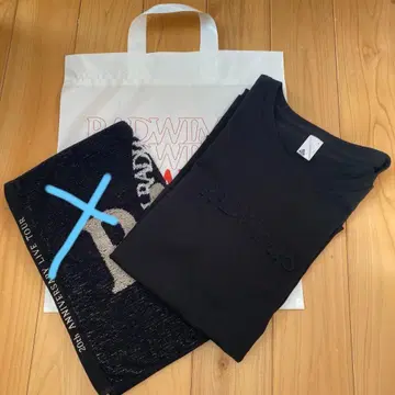 RADWIMPS 20th LIVE 티셔츠 L 사이즈 쇼핑백 세트