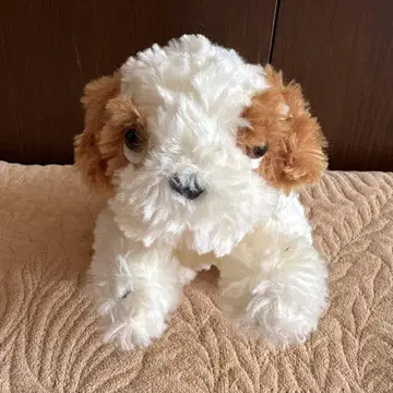 Bestever 베스트에버 시츄 봉제 인형 약 20cm