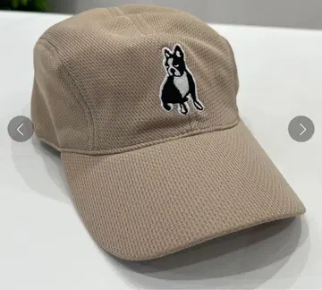 클라우디오 판디아니 베이지 캡