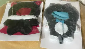 니지산지 니지 누이구루미 카나에 쿠츠하 세트