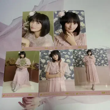 노기자카46 엔도 사쿠라 할로윈 2025 브로마이드 5종 컴프