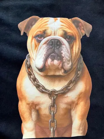 [오리지널] IRO+IRO 개 프린트 후드 부착 원피스 불독