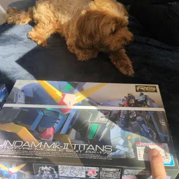 RG GUNDAM Mk-II TITANS RX-178 건담 마크 2