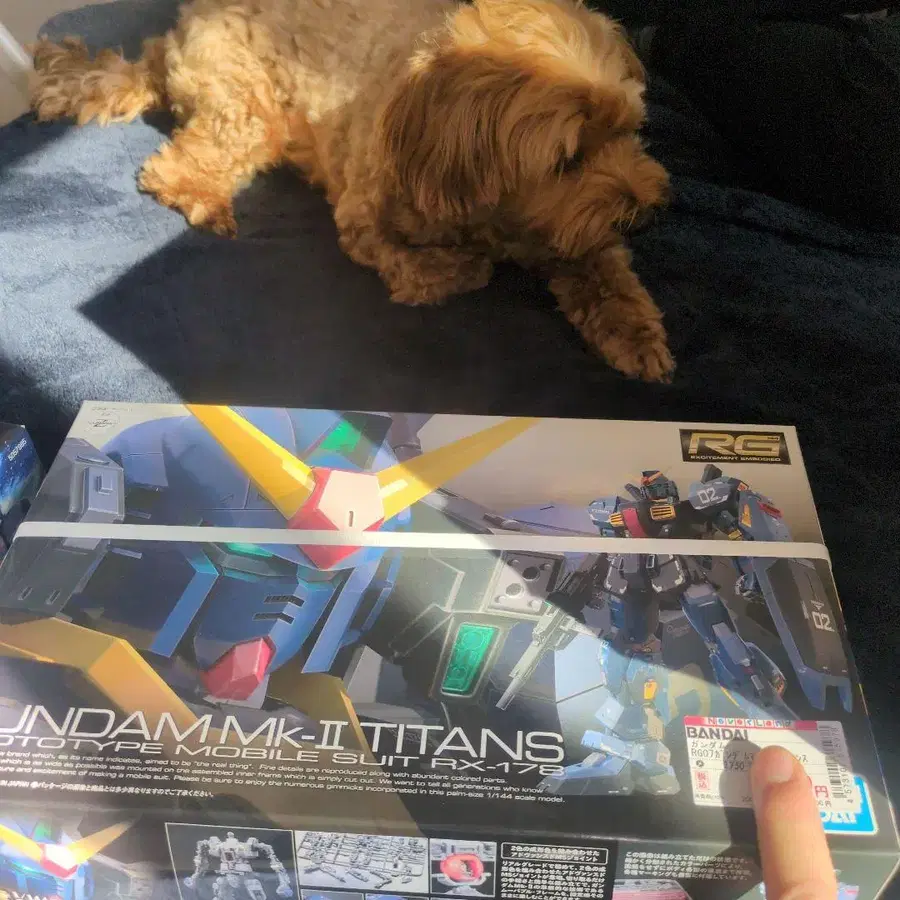 1번째 상품 이미지