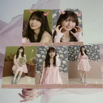 노기자카46 브로마이드 츠츠이 아야메 할로윈 2025 5장 세트