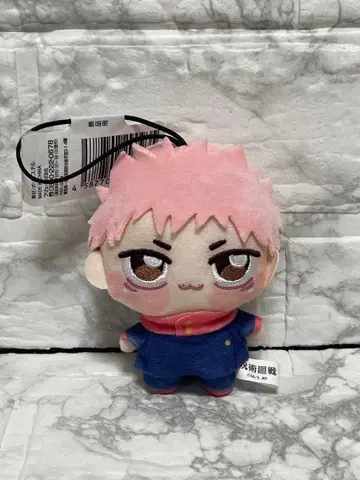 이타도리 유우지 쵸피누이 푸치 5