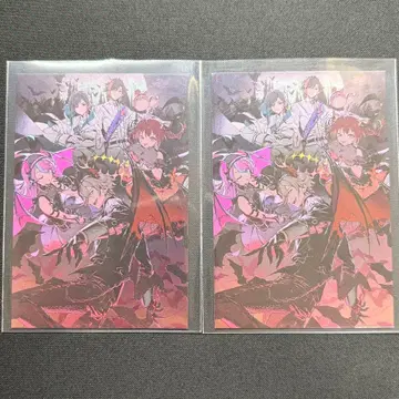 CrazyRaccoon 집합 랜덤 메탈릭 카드 HW2025