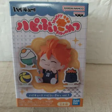 하이큐!! 하피피규 vol.1 히나타 쇼요