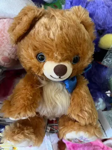 유니베어 오샤레캣