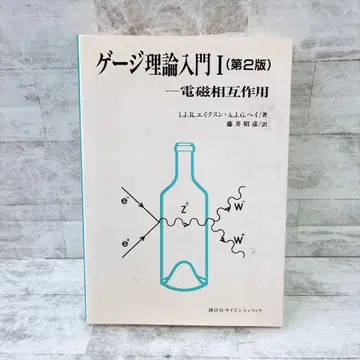 게이지 이론 입문 I (제2판) - 전자 상호작용