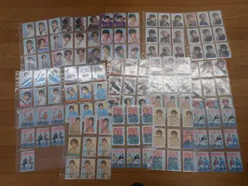 Fantastics 트레이딩 카드 묶음 판매/M2536