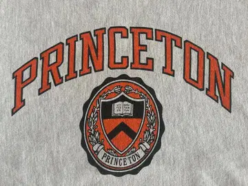 90s 자수 택 챔피온 리버스 위브 프린스턴  XL