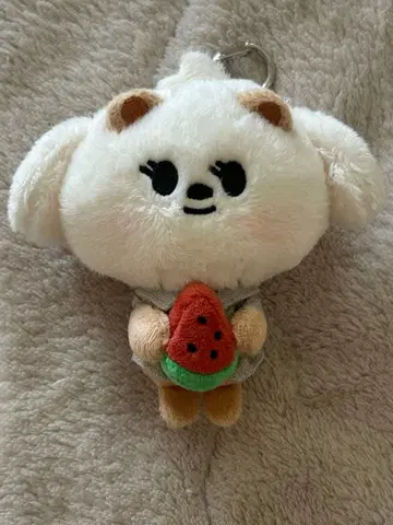 txt 봄규 수박밤구