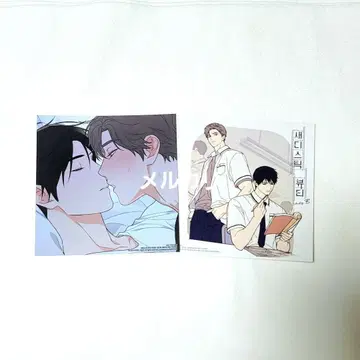 새디스틱 뷰티 외전 B 코믹스 3권 애니메이트 특전 한국 BL