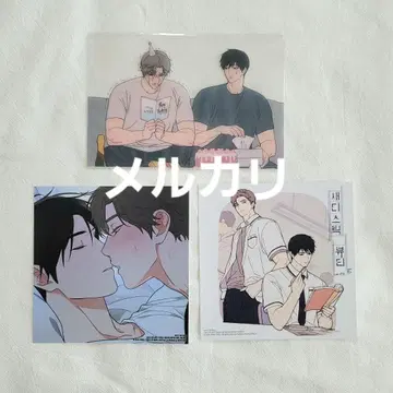 새디스틱 뷰티 외전 B 코믹스 3권 애니메이트 특전 한국 BL